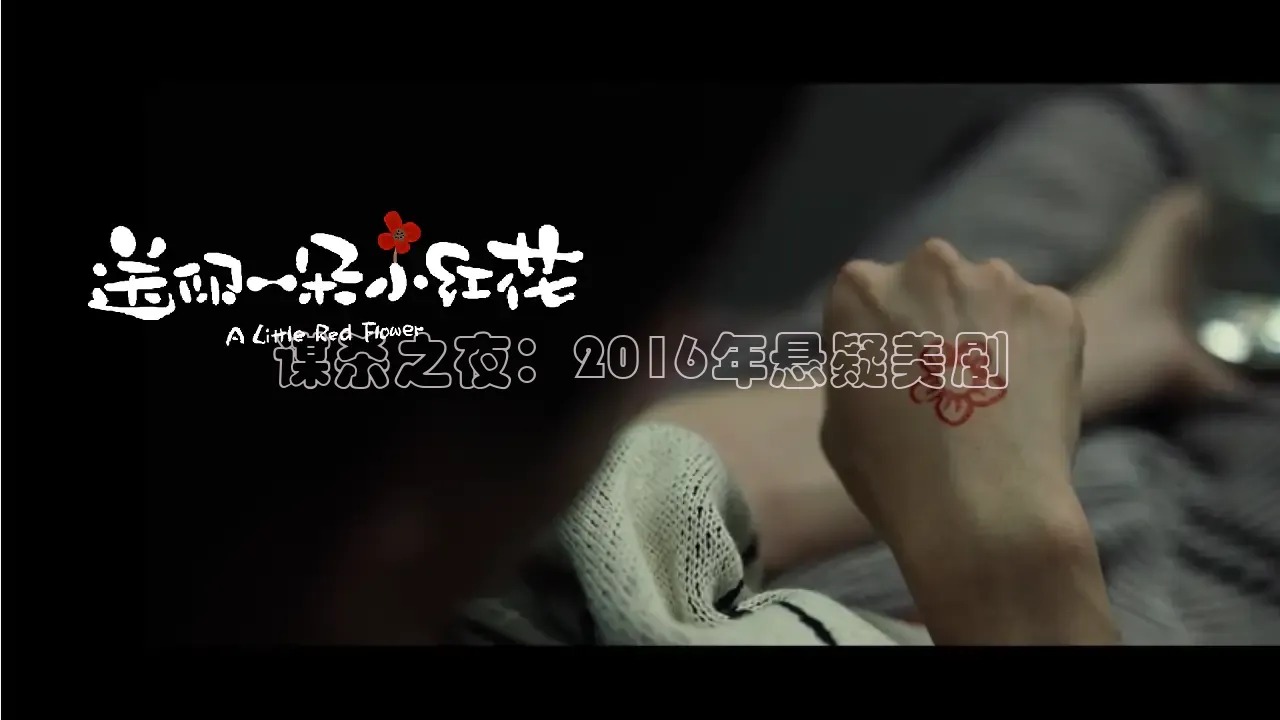 51视频在线观看